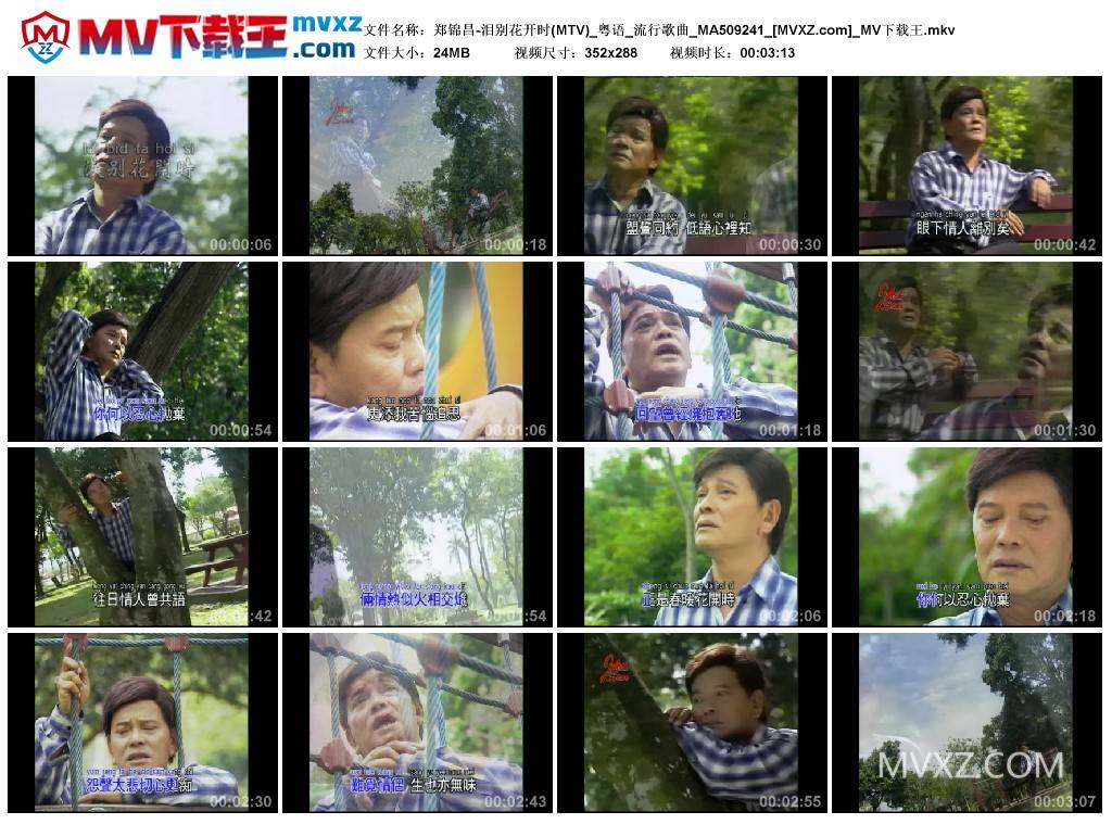 郑锦昌-泪别花开时(MTV)_粤语_流行歌曲_MA509241